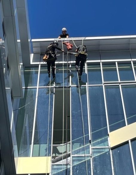 verrière vitres lyon